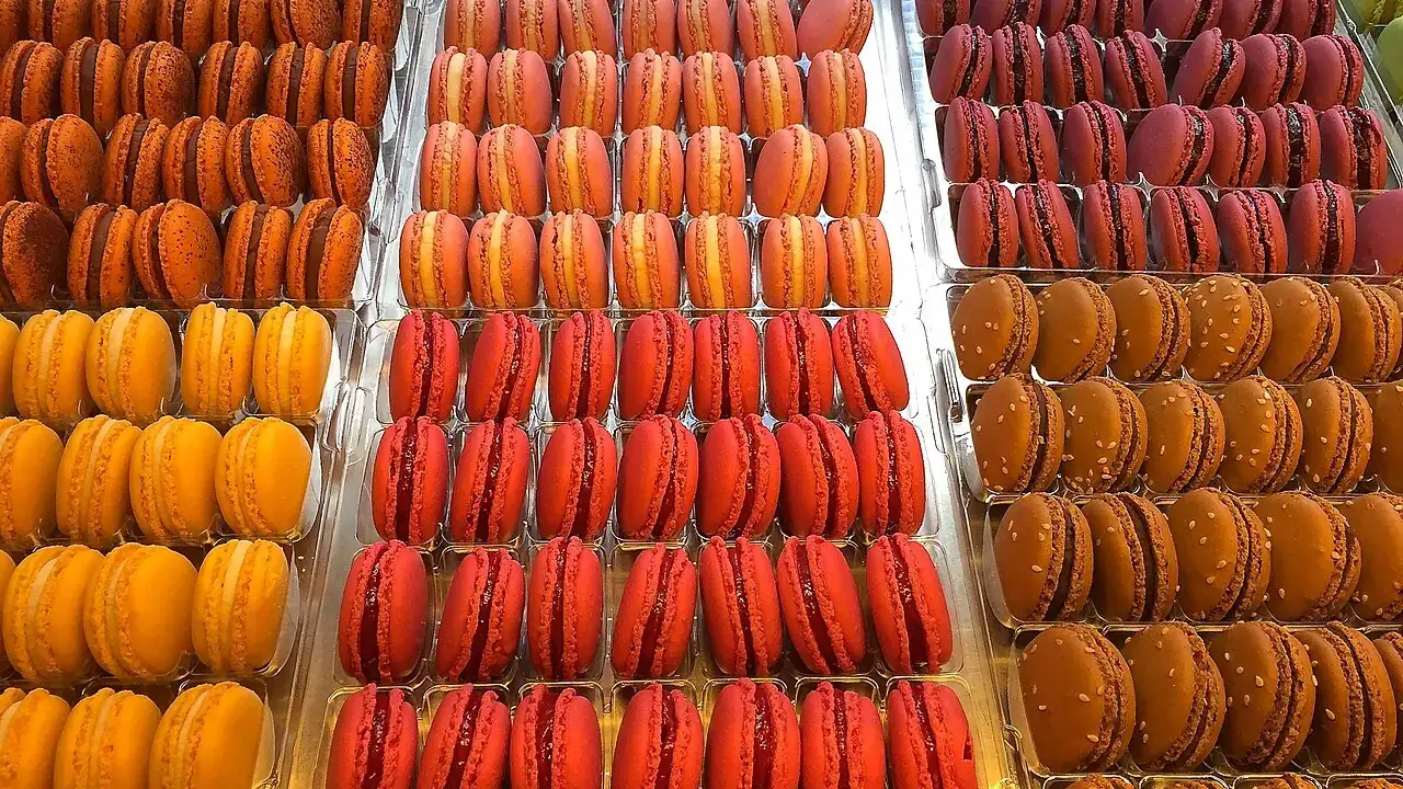 Rows of macarons